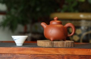 老茶人喜欢什么壶型的紫砂壶来泡茶？