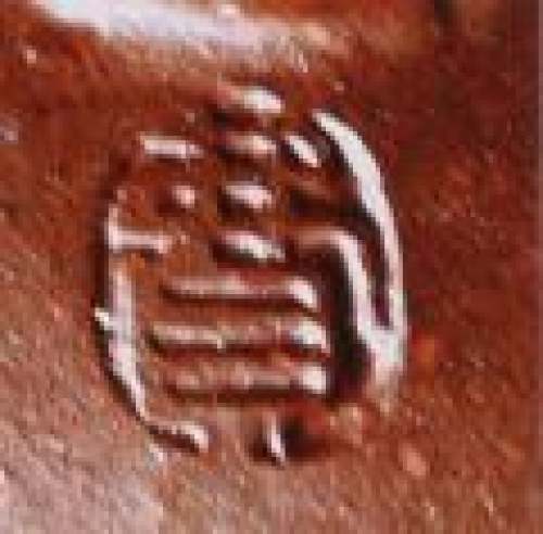 费寅媛印章底款