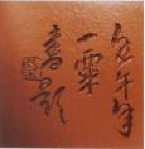 毛国强印章底款