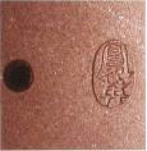 束凤英印章底款