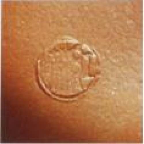 周尊严印章底款