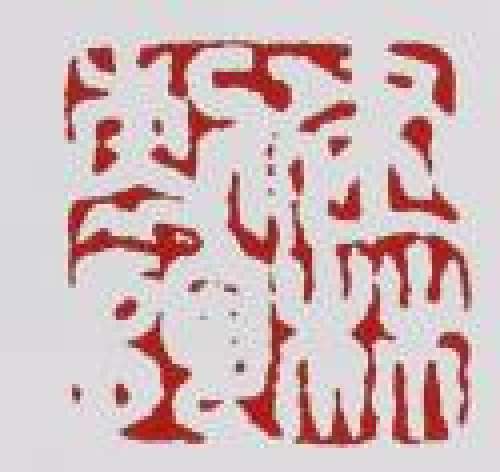 吴建林印章底款
