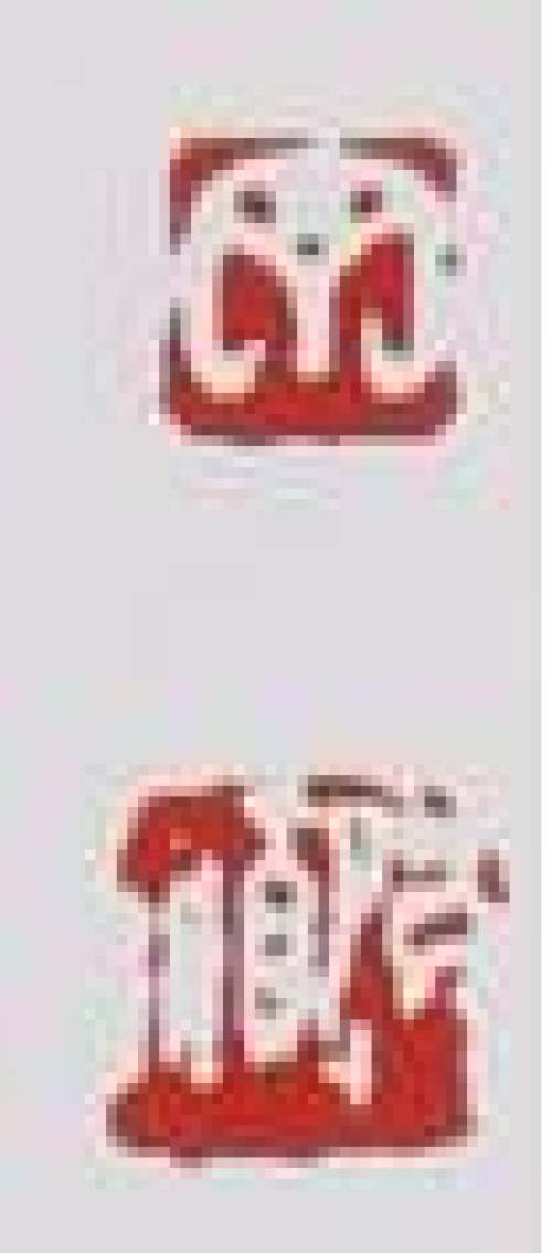 丁洪顺印章底款