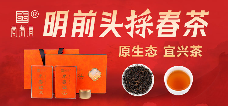 明前头採宜兴春茶